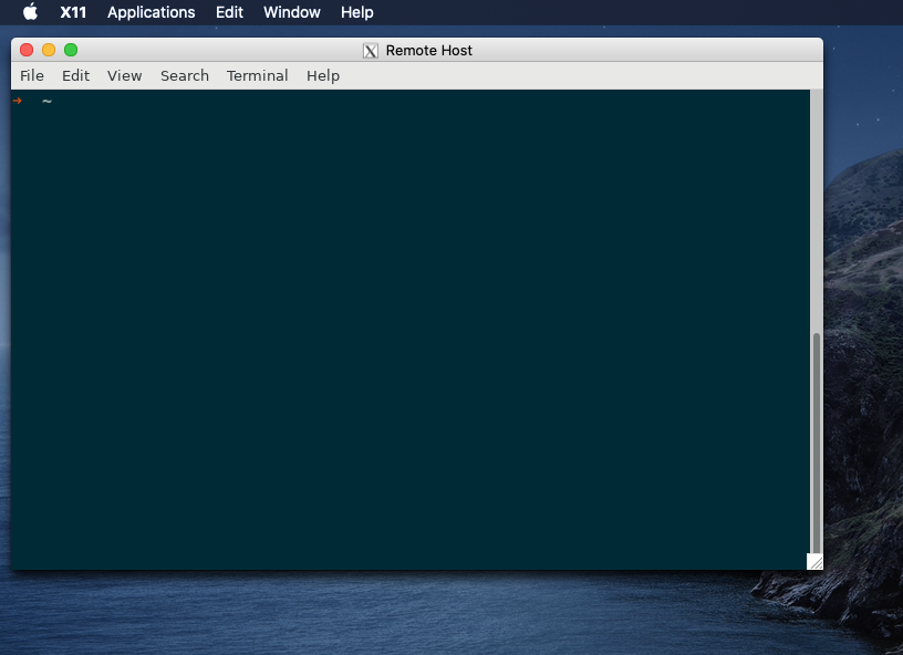 A Remote Instance of GNOME Terminal Viewed on macOS Catalina